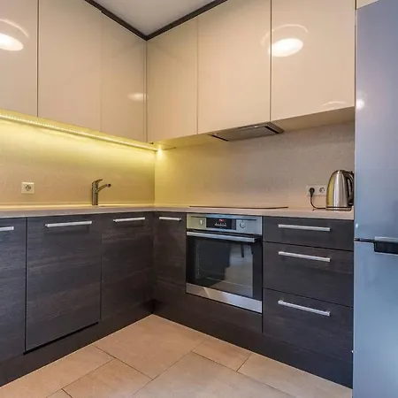 דירה Luxury Down Town Apartment, Terrace, Parking וילנה