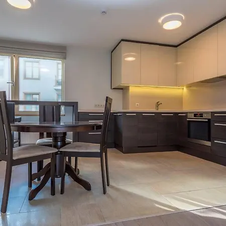 Luxury Down Town Apartment, Terrace, Parking * וילנה